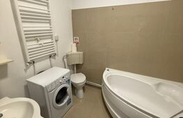 Apartament 1 camera, 40mp, Casa de Cultura, Centru