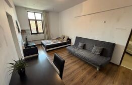 Apartament 1 camera, 40mp, Casa de Cultura, Centru