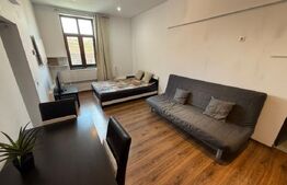 Apartament 1 camera, 40mp, Casa de Cultura, Centru