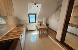 Apartament 1 camera, 40mp, Casa de Cultura, Centru