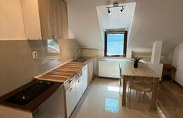 Apartament 1 camera, 40mp, Casa de Cultura, Centru