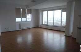 Vanzare apartament 3 camere, 119 mp, parcare, garaj, zona Vivo