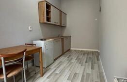 Apartament cu 2 camere, decomandat, 60 mp, zona Central, strada Horea