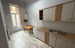 Apartament cu 2 camere, decomandat, 60 mp, zona Central, strada Horea