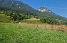 Teren Plaiul Foii, vedere spre muntii Bucegi si apa Barsa 1004 mp Intravilan