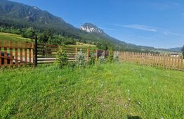 Teren Plaiul Foii, vedere spre muntii Bucegi si apa Barsa 1004 mp Intravilan