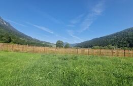 Teren Plaiul Foii, vedere spre muntii Bucegi si apa Barsa 1004 mp Intravilan