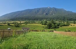 Teren Plaiul Foii, vedere spre muntii Bucegi si apa Barsa 1004 mp Intravilan