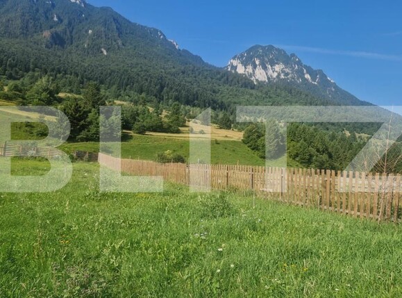 Teren de vânzare Zarnesti - 174933TV | BLITZ Brașov | Poza1