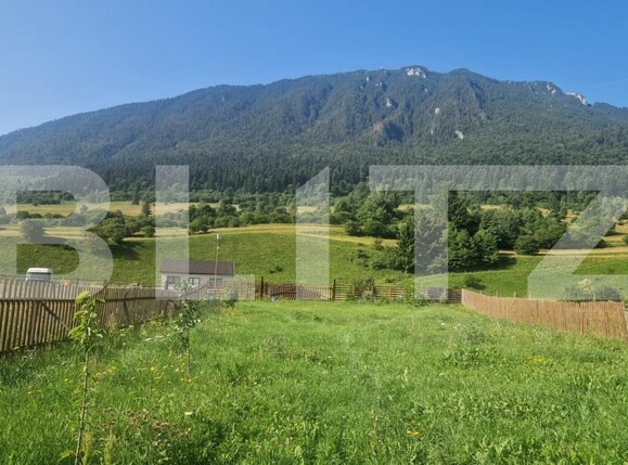 Teren de vânzare Zarnesti - 174933TV | BLITZ Brașov | Poza3