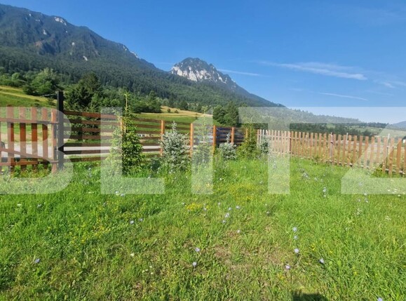 Teren de vânzare Zarnesti - 174933TV | BLITZ Brașov | Poza6