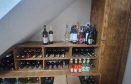 Casa moderna P+1 Lux , Izvor  individuala 5 camere plus pivnita , curte si anexe