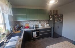 Casa moderna P+1 Lux , Izvor  individuala 5 camere plus pivnita , curte si anexe