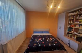 Casa moderna P+1 Lux , Izvor  individuala 5 camere plus pivnita , curte si anexe