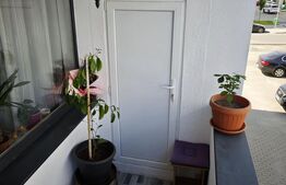 Apartament 2 camere, etaj intermediar, parcare inclusa, zona Catanelor