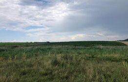 Teren Intravilan de 1000 mp în Sânpetru, Brașov – Zonă Rezidențială