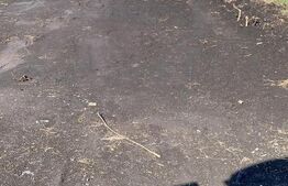 Terenuri cu Autorizatie de Constructie  Duplex - 800 mp / parcela 