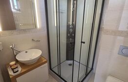 Penthouse 5 camere, 160 mp, parcare, zona Buna ziua