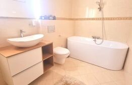 Penthouse cu 5 camere, 160 mp, pet friendly, parcare, zona Buna ziua