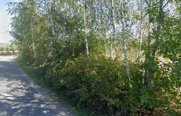 EXCLUSIVITATE! Teren intravilan, constructii, 990 mp, Rasca!