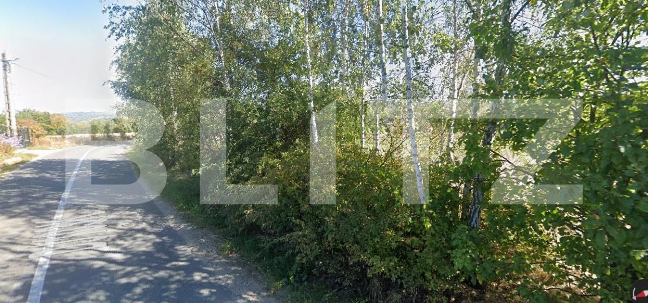 Teren de vânzare Exterior Vest - 175062TV | BLITZ Cluj-Napoca | Poza2