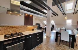 Penthouse 4 camere, 153 mp, 50 mp zona Buna-Ziua