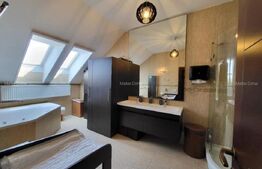 Penthouse 4 camere, 153 mp, 50 mp zona Buna-Ziua