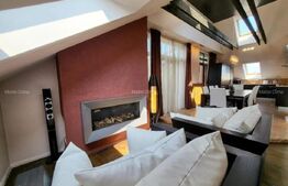 Penthouse 4 camere, 153 mp, 50 mp zona Buna-Ziua