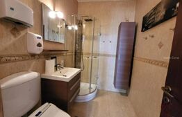 Penthouse 4 camere, 153 mp, 50 mp zona Buna-Ziua