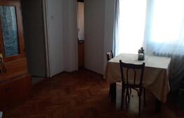 Apartament cu 2 camere, cu garaj, in zona strazii Horea 