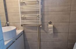 Casa lux in Ghimbav la 15 minute de Brasov, curte, P+1