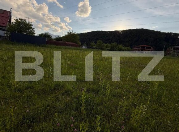 Teren de vânzare Sacele - 175156TV | BLITZ Brașov | Poza6