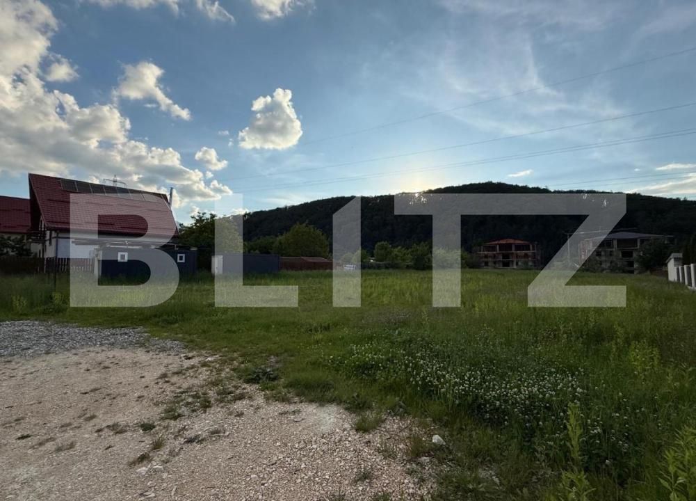 Teren de vânzare Sacele - 175156TV | BLITZ Brașov | Poza4