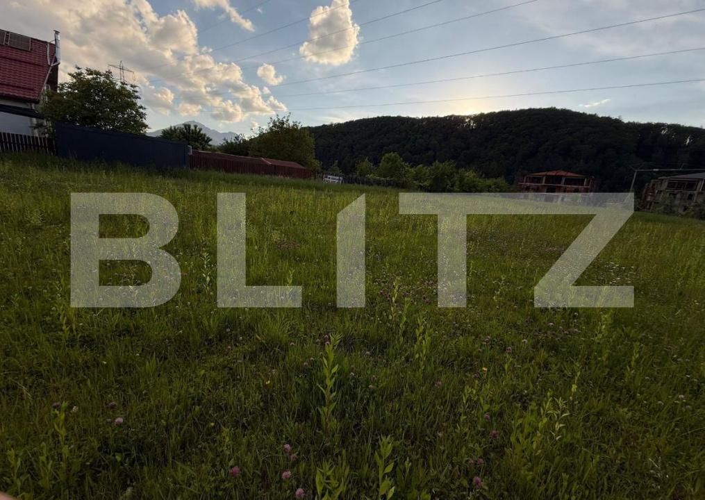 Teren de vânzare Sacele - 175156TV | BLITZ Brașov | Poza6