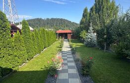 Casa moderna cu terasa, foisor, gradina 500mp