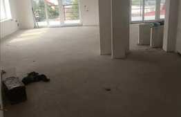 Vanzare apartament 3 camere, 100 mp, terasa, gradina, zona strazii Gheorghe Dima