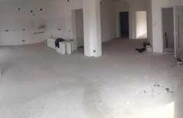 Vanzare apartament 3 camere, 100 mp, terasa, gradina, zona strazii Gheorghe Dima