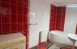 Apartament 2 camere, 50 mp, A.C, zona strazii Dambovitei