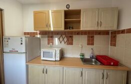 Apartament 2 camere, 50 mp, A.C, zona strazii Dambovitei