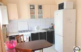 1 camera, 28 mp, imobil tip casa, mobilata modern, zona UMF