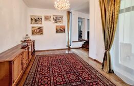 Casa deosebita in Europa, 265 mp utili, 640 mp teren, garaj dublu