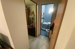 Apartament 2 camere, 32 mp, Casa Piratilor, Manastur