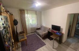 Apartament 2 camere, 32 mp, Casa Piratilor, Manastur