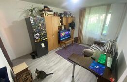 Apartament 2 camere, 32 mp, Casa Piratilor, Manastur