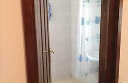 Garsoniera 43 mp, zona Profi (se vinde la pachet cu inca 2 apartamente)