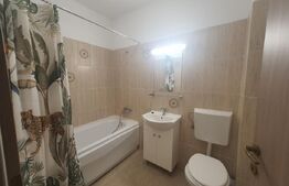 Apartament 2 camere decomandate, 54 mp, terasa 30mp, zona Buna Ziua