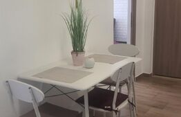 Apartament 2 camere decomandate, 54 mp, terasa 30mp, zona Buna Ziua