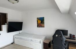 Exclusivitate! Apartament cu o camera de vanzare, 36mp, cu parcare si pod