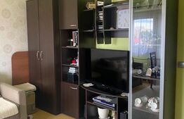 Apartament 1 camera, mobilat utilat, zona Bucegi