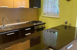 Apartament 1 camera, mobilat utilat, zona Bucegi